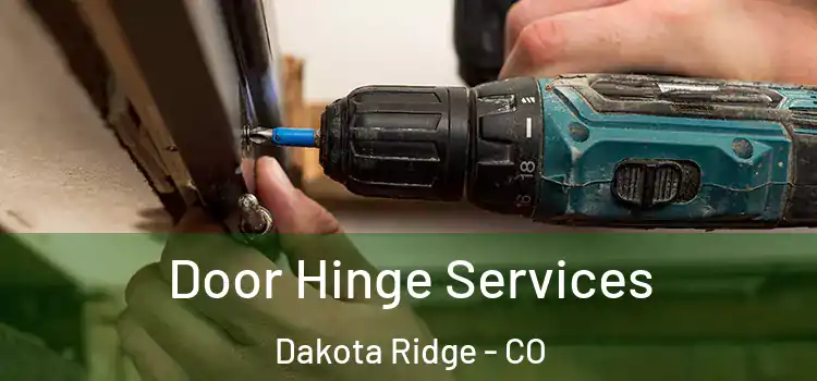 Door Hinge Services Dakota Ridge - CO